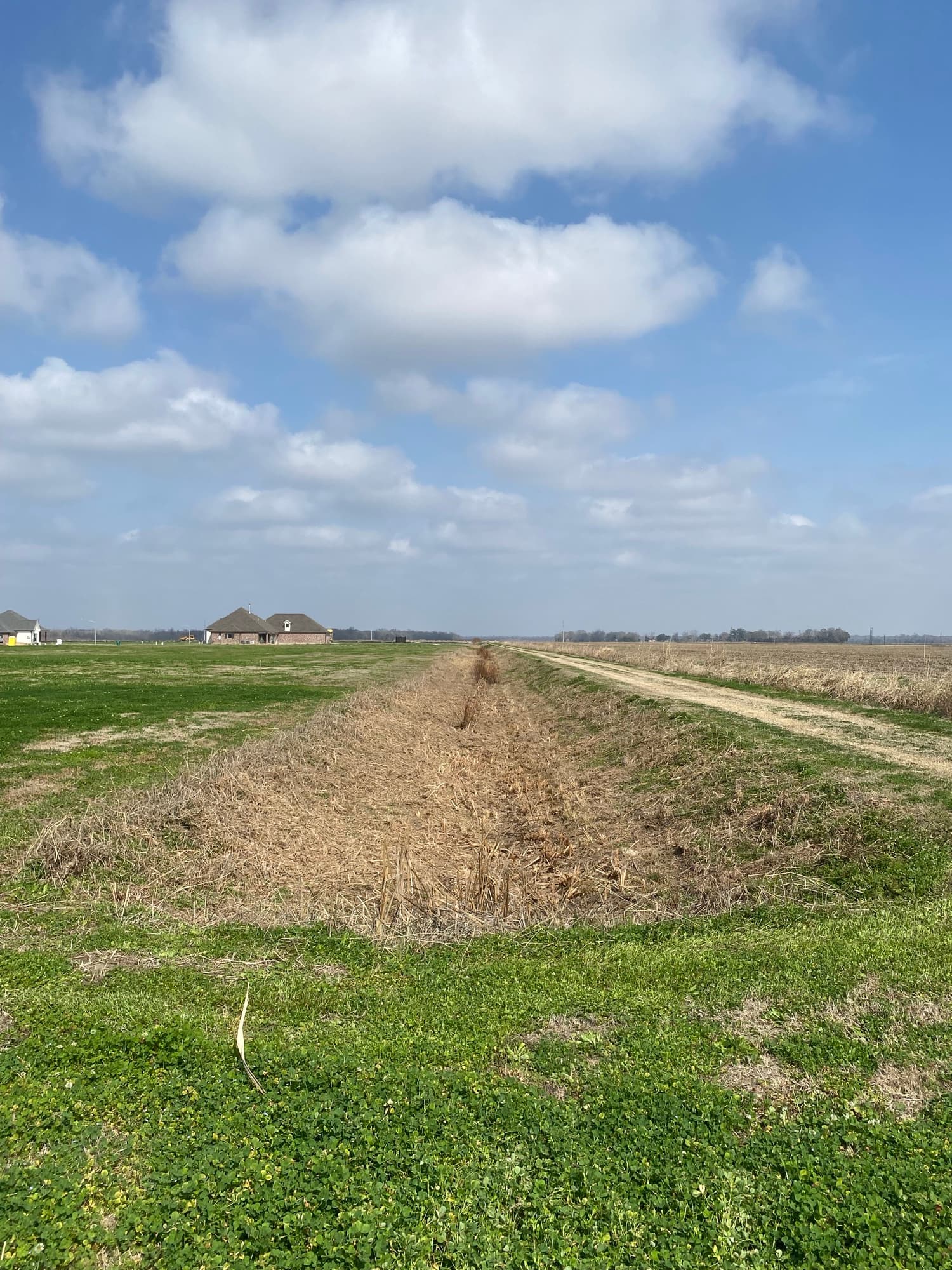 Land after restoration by TIMCO