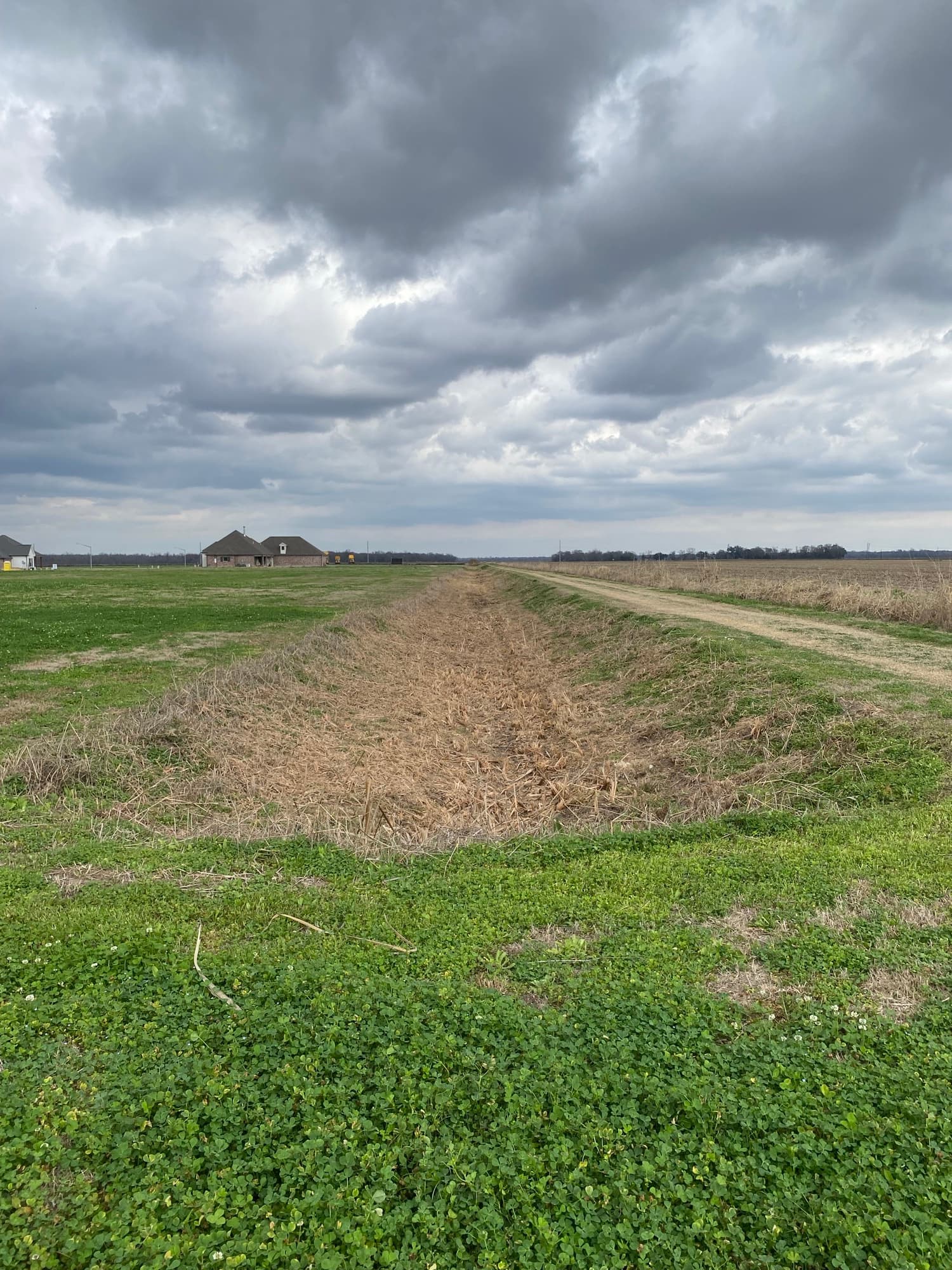 Land after restoration by TIMCO
