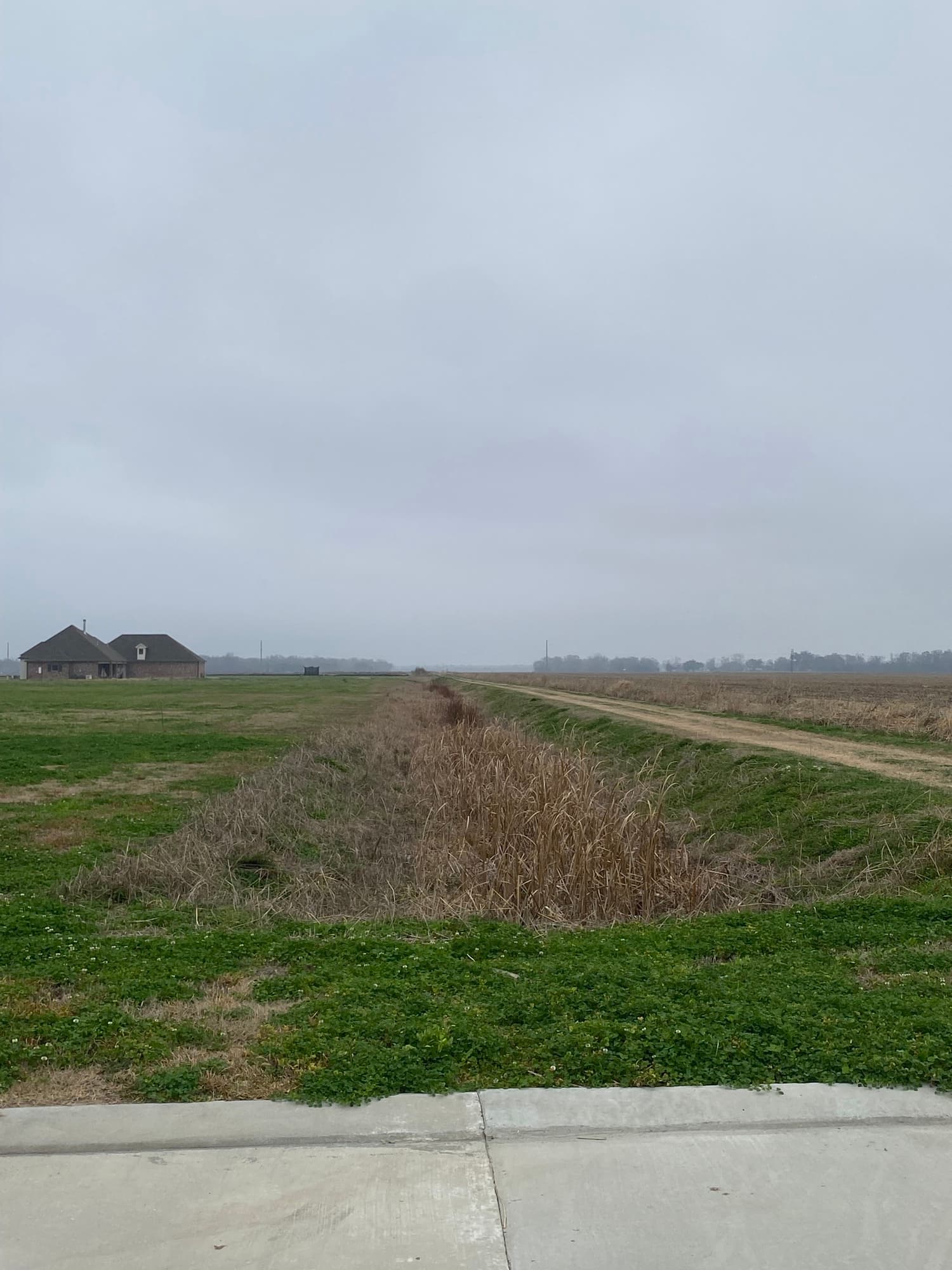 Land before restoration by TIMCO