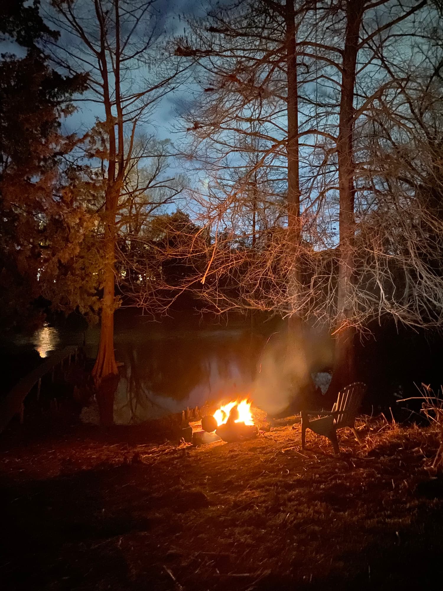 Campfire at dusk among cypress on managed acreage