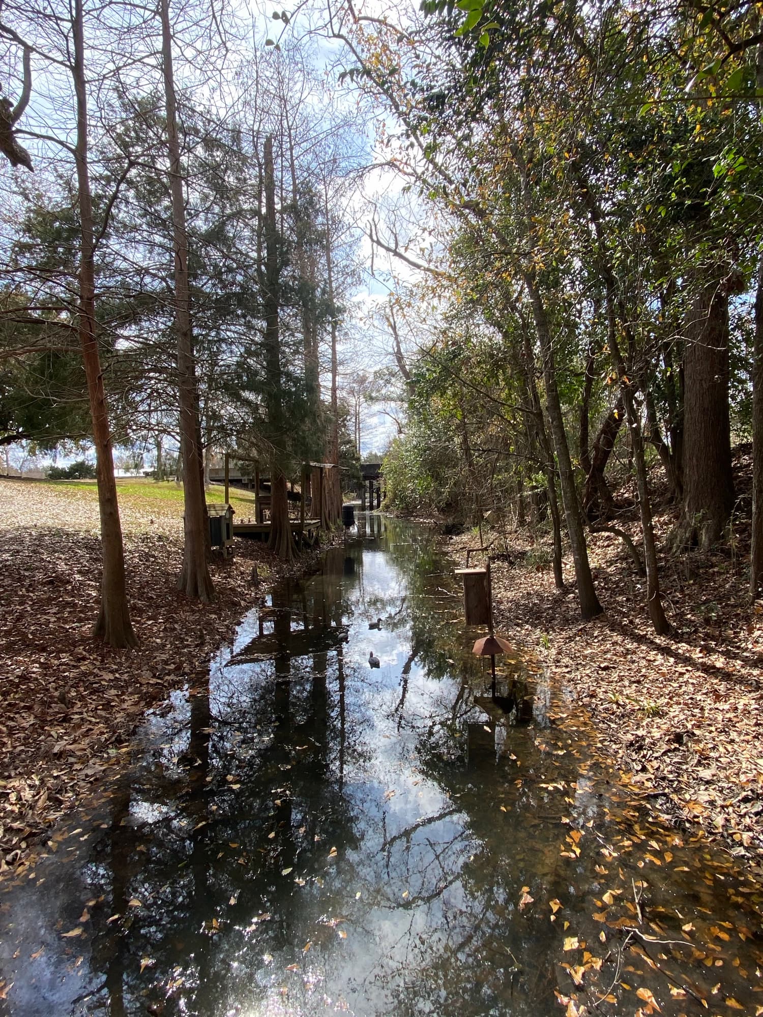 Wooded canal with footbridge and feeders on recreational land