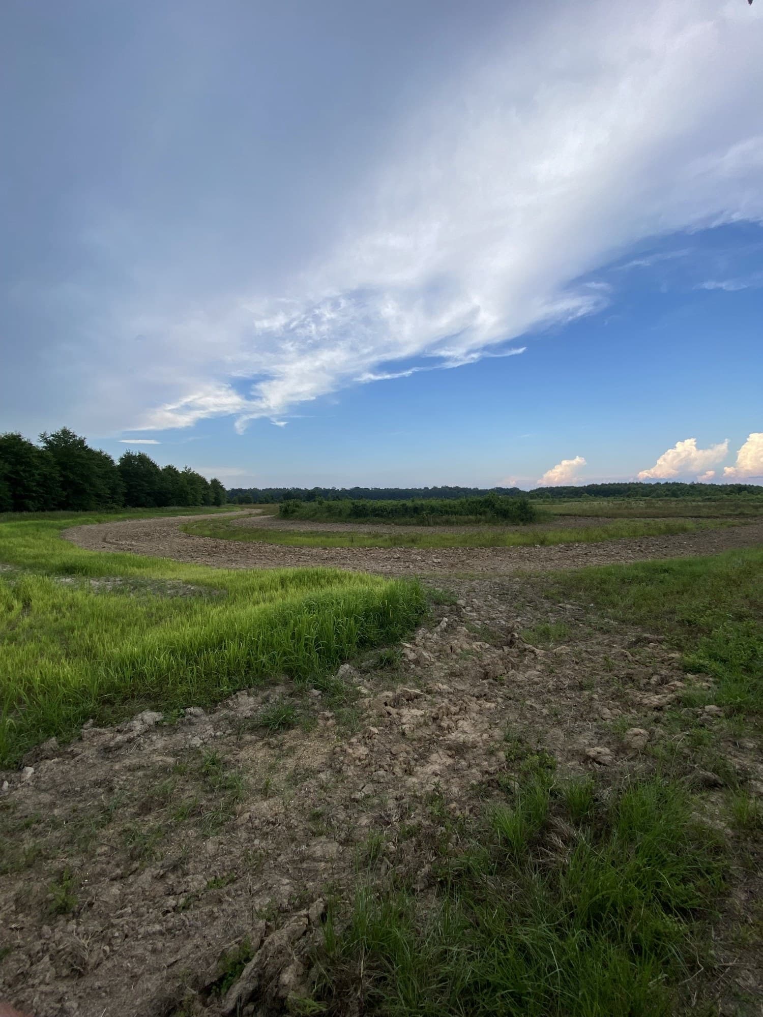 A freshly cleared field after TIMCO land reclamation